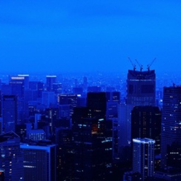 Meet your Posher, Casey - Picture 4 of 4